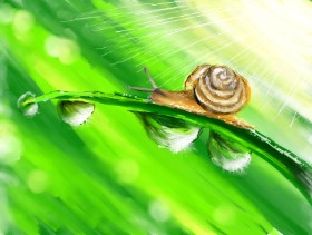 Gabby の カタツムリ の絵