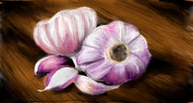 Drawing of Garlic by Mia