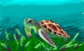 Sjkdovey の ウミガメ の絵
