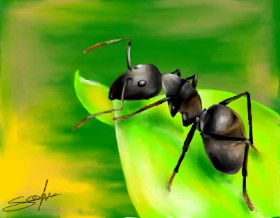 Mrav - autor: Sophie_draw24