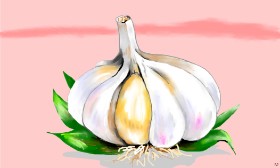 Рисунок на тему «Чеснок» — автор: Flowerpot