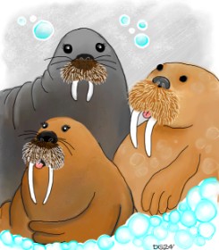 Рисунок на тему «Морж» — автор: GreyhoundMama