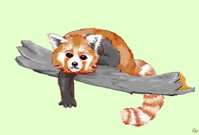 Flowerpot の レッサーパンダ の絵