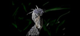 Çhåching の コウノトリ の絵