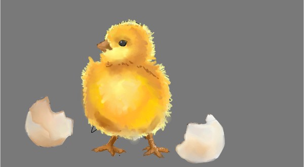 Drawing of Chicken by Unknown