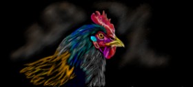 Çhåching の 雄鶏 の絵