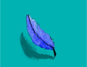 Accound124 の 羽毛 の絵