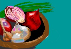 Drawing of Onion by Dm