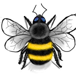 Bri の バンブルビー の絵