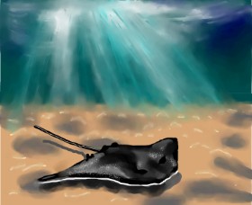 Drawing of Stingray by QueenofGreen