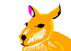 SFB の カンガルー の絵