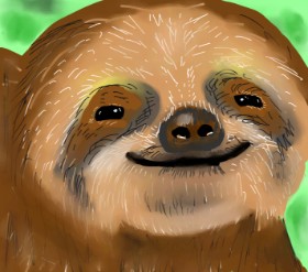 Joze の ナマケモノ の絵