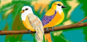 SAM AKA MARGARET 🙄 の 鳥 の絵