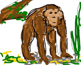 Firsttry の 猿 の絵