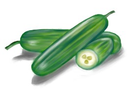 Jan の きゅうり の絵