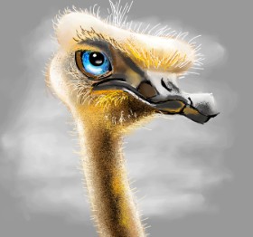 Clar の ダチョウ の絵