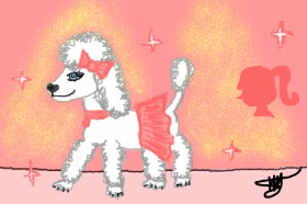 Drawing of Poodle by Ingrid