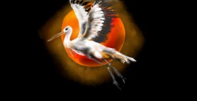 Eclat de Lune の コウノトリ の絵