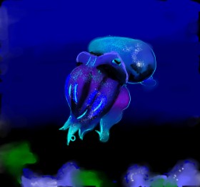 Clar の イカ の絵