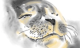 Herbert の シール の絵
