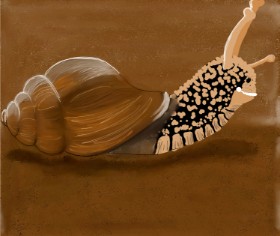 Monja の カタツムリ の絵