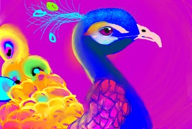 Niny の 孔雀 の絵