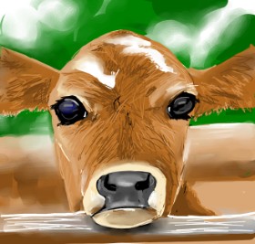 Drawing of Cow by Rose rocket
