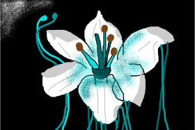 baconstrip の ユリの花 の絵