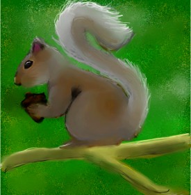 Рисунок на тему «Белка» — автор: 🌌Mom💕E🌌