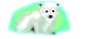 Debidolittle の ホッキョクグマ の絵
