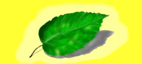DebbyLee の 葉 の絵