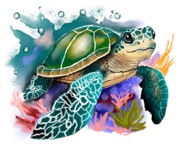 Ryomen の ウミガメ の絵