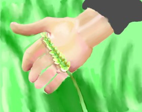 IThinkWereDoomed の 小麦 の絵