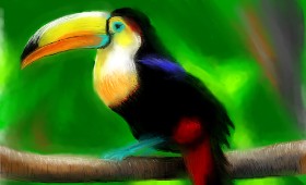 Herbert の オオハシ の絵