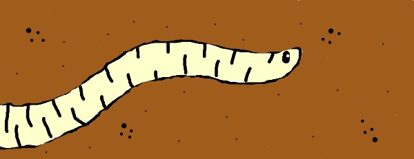 bob の 虫 の絵