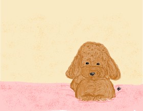 LAdy GAGa の プードル の絵