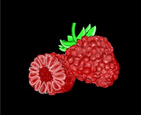 e の ラズベリー の絵