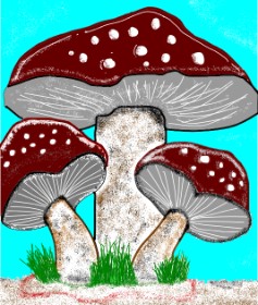😋 の きのこ の絵