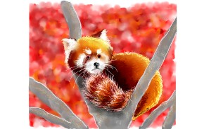 DaVinky の レッサーパンダ の絵
