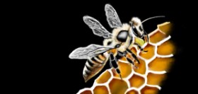 Drawing of Bee by Çhåching