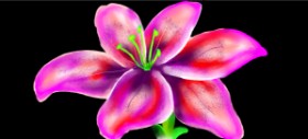 Kim の ユリの花 の絵