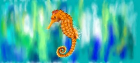 Kim の タツノオトシゴ の絵