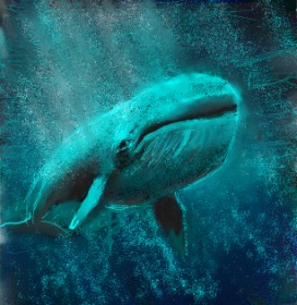 Tess の クジラ の絵