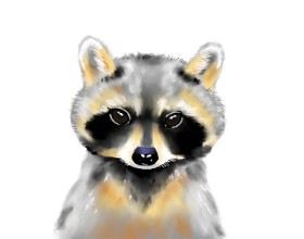 Cec の アライグマ の絵