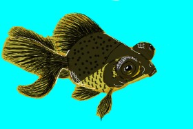 iris の 金魚 の絵