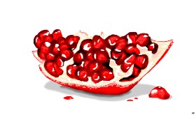 Drawing of Pomegranate by Flowerpot