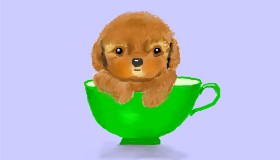 Drawing of Poodle by Pinky