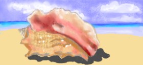 SAM AKA MARGARET 🙄 の 貝殻 の絵
