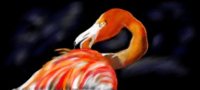 Çhåching の フラミンゴ の絵