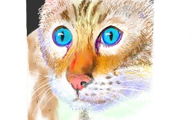 GJP の 猫 の絵